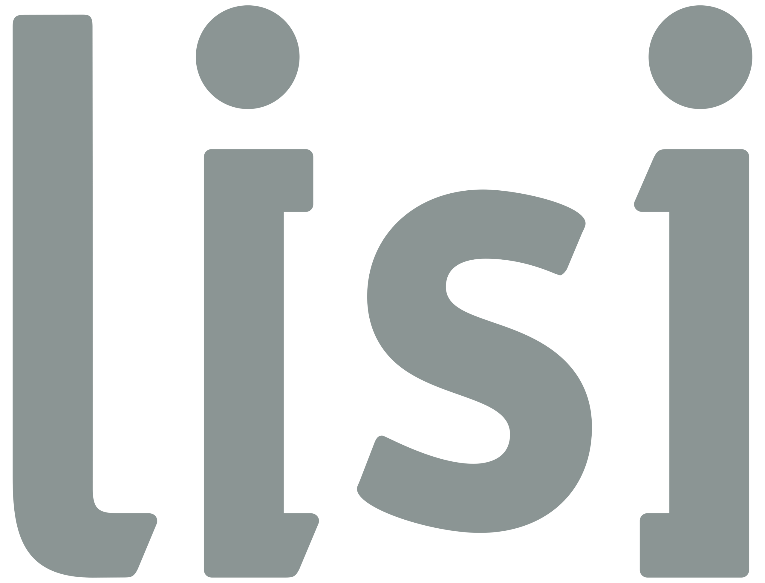 Logo_Lisi.svg